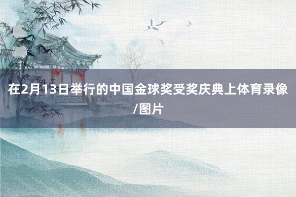 在2月13日举行的中国金球奖受奖庆典上体育录像/图片