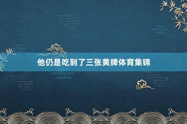 他仍是吃到了三张黄牌体育集锦