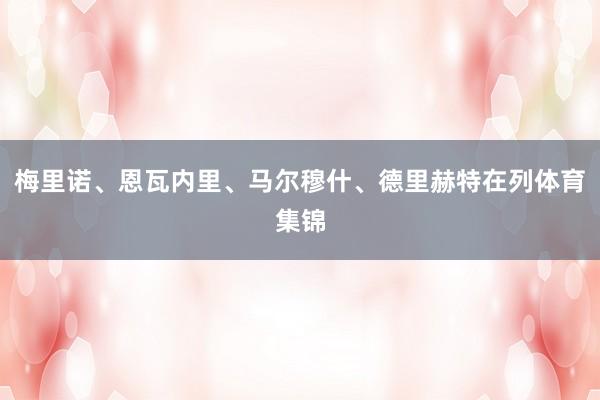 梅里诺、恩瓦内里、马尔穆什、德里赫特在列体育集锦