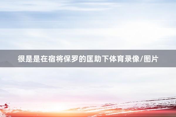 很是是在宿将保罗的匡助下体育录像/图片