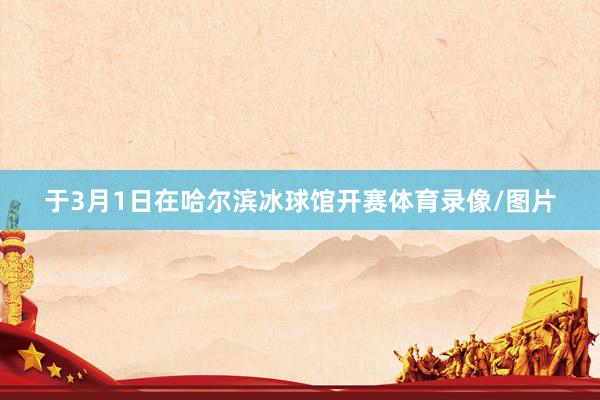 于3月1日在哈尔滨冰球馆开赛体育录像/图片
